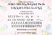 Birthday | Script Font, a Handwritten Font by Scratchones (Thumbnail 4 of 6)