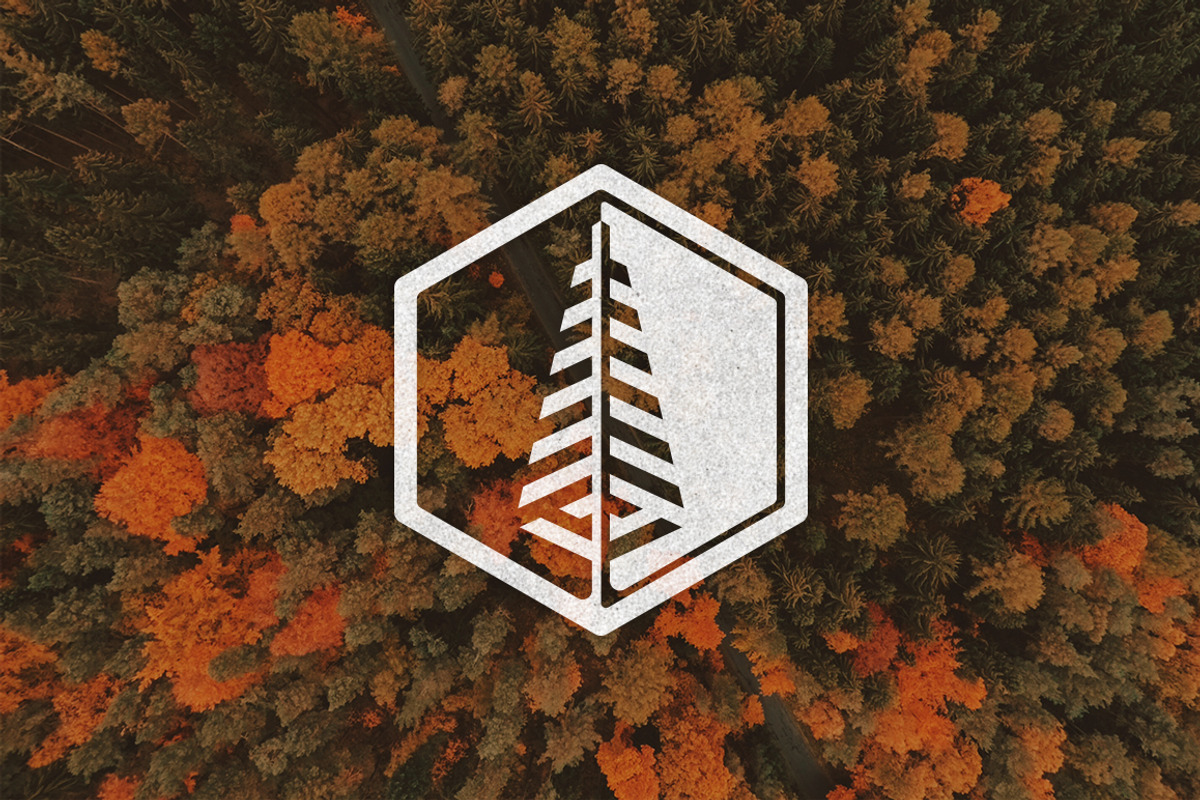 Evergreen Tree Logo, a Branding & Logo Template by M. E. Smith Design (Photo 1 of 4)