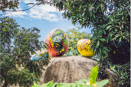 Multicolored eggs in the grass, a Holiday Photo by Elizaveta Galitskaya
