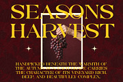Rospel - A Soft Serif Classic Font, a Serif Font by Muflieart (Thumbnail 9 of 12)