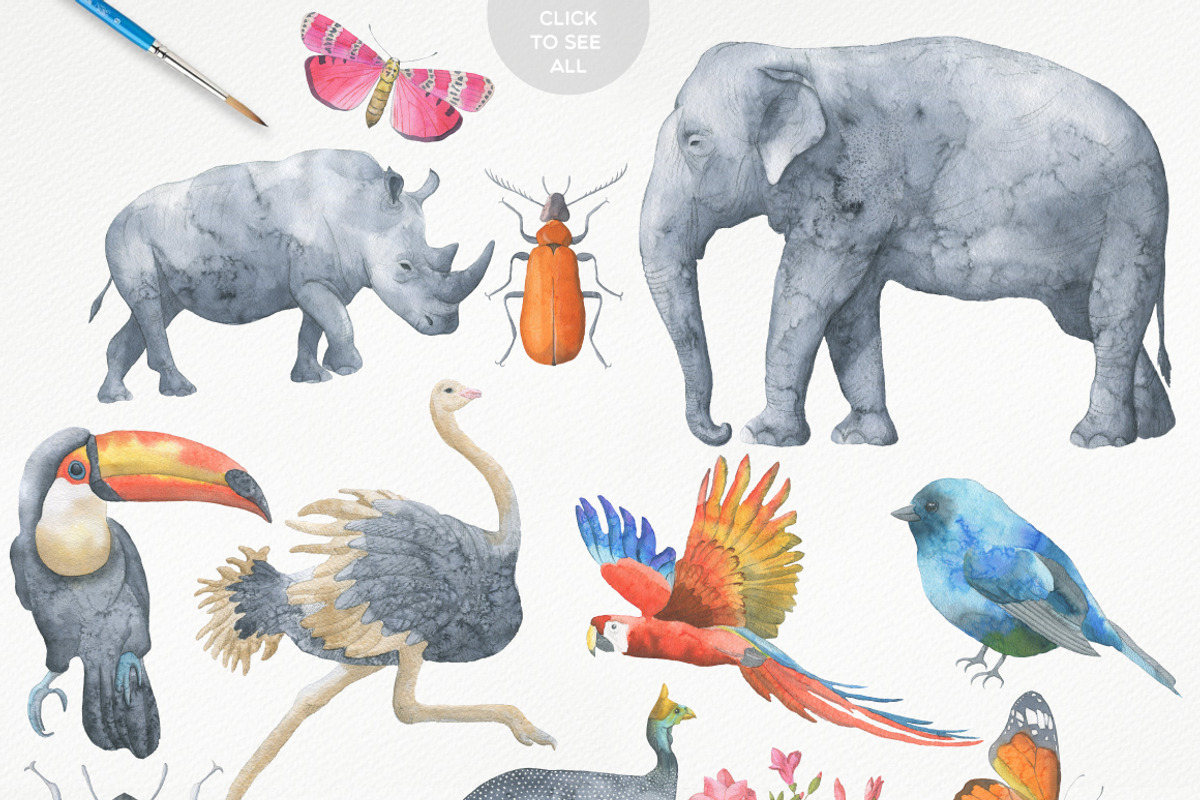 Safari Watercolor Collection, an Animal Illustration by Julia Dreams