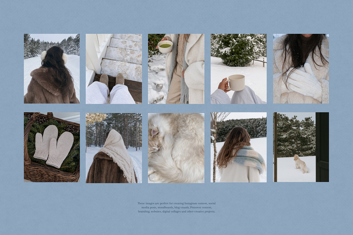110 Aesthetic Winter Stock Photos, a Nature Photo by Trissa (Photo 4 of 12)