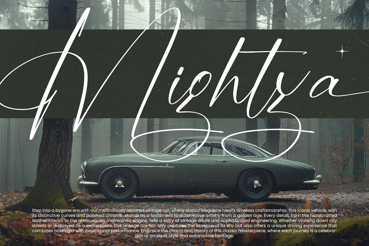 Mistycal Strengths Stylish Signature, a Serif Font by stylishtype.co (Photo 3 of 20)