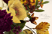 Ethereal Autumn Floral Bouquets, an Illustration by Eclectic Anthology (Thumbnail 4 of 12)