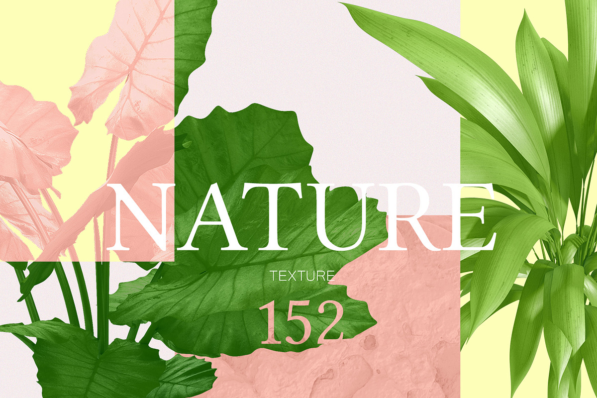Nature Graphics Collection #03, an Object Graphic by ARKS ACADEMY (Photo 1 of 13)