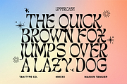 TAN - MAISON TANGIER, a Serif Font by TanType (Thumbnail 5 of 9)