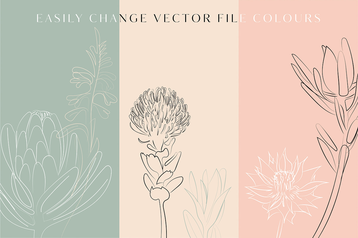 Line Art Floral Graphic Elements, a Decorative Illustration by CL Creative Studio (Photo 5 of 11)