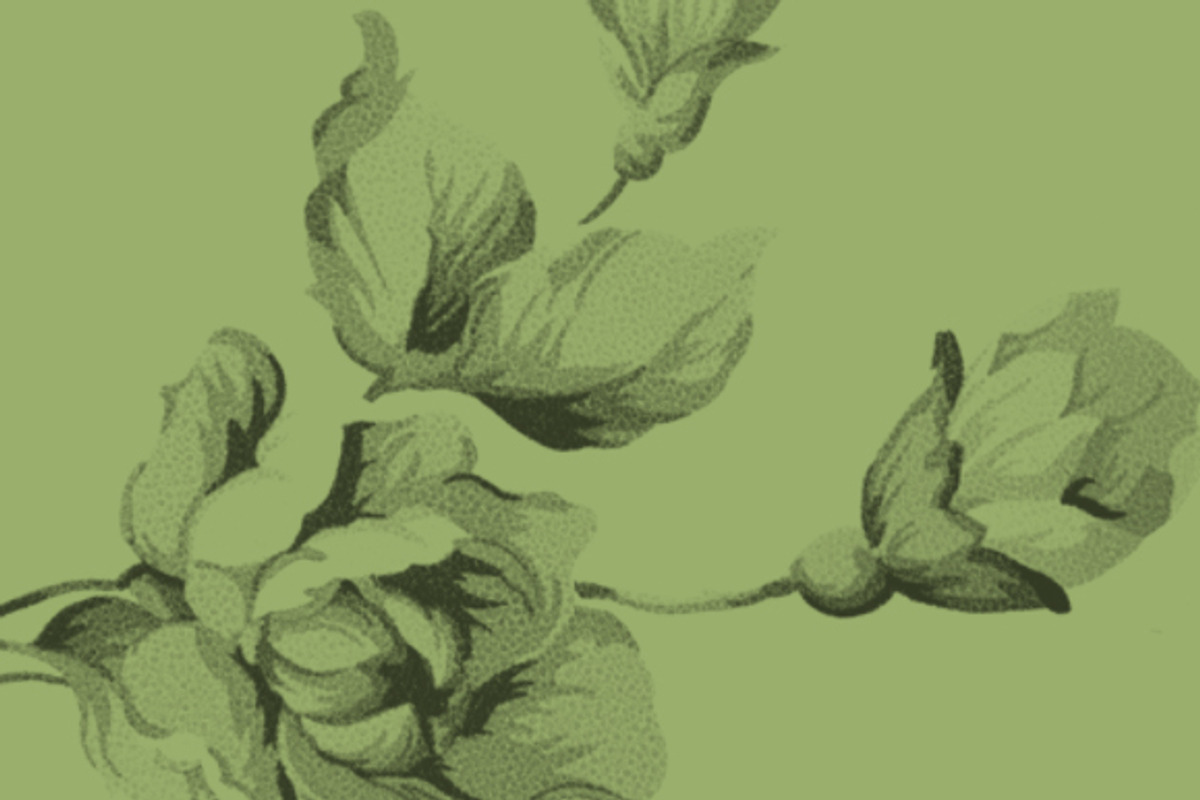 Vintage Floral Photoshop Brush Set, a Brush Add-On by Medialoot (Photo 3 of 5)