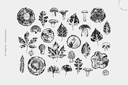 Autumn Forest Imprints | Vector Pack, an Object Illustration by Nutalin Art (Thumbnail 4 of 13)