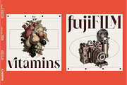 NEIMA, a Serif Font by Bagerich Type Foundry (Thumbnail 4 of 15)