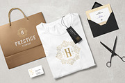 36 Luxury Ornament Logos, a Branding & Logo Template by Vasya Kobelev (Thumbnail 9 of 14)