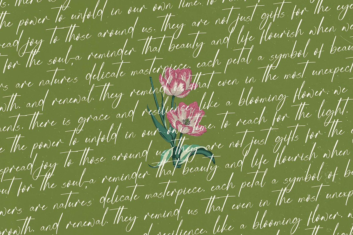 Josephine Octavia Stylish Font, a Script Font by stylishtype.co (Photo 16 of 20)