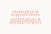 Vintage Typist - Typewriter Font, a Handwritten Font by HipFonts (Thumbnail 8 of 9)