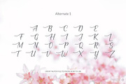 Cherish Modern Script Font Set, a Script Font by TrimStudio (Thumbnail 8 of 11)