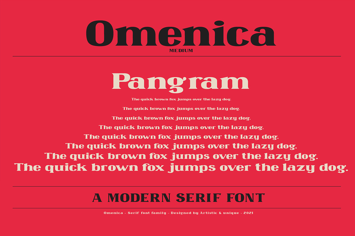 Omenica - Serif font Family, a Serif Font by Artistic & Unique (Photo 12 of 12)