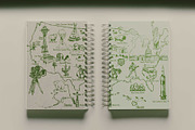 United States Hand-Drawn Map, an Empty State Illustration by TheMountBirdStudio (Thumbnail 3 of 9)