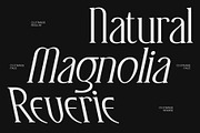 CS Strange – Modern Serif Font, a Serif Font by Craft Supply Co. (Thumbnail 3 of 8)