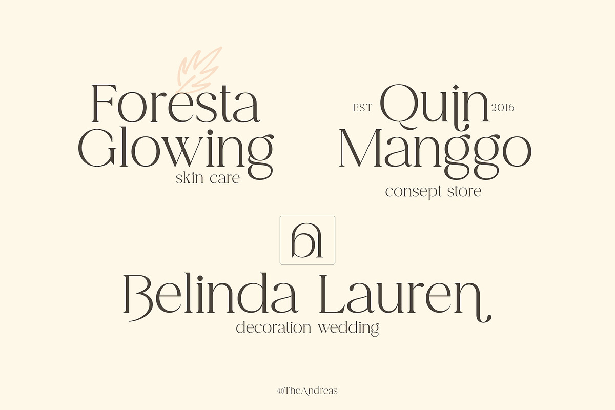 Andreas, a Serif Font by Gatype (Photo 4 of 10)