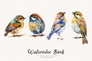 Watercolor Birds I, an Animal Illustration by PeDe Designs (Thumbnail 4 of 5)