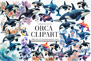 Watercolor Orca Clipart, an Illustration by Designworld (Thumbnail 1 of 6)