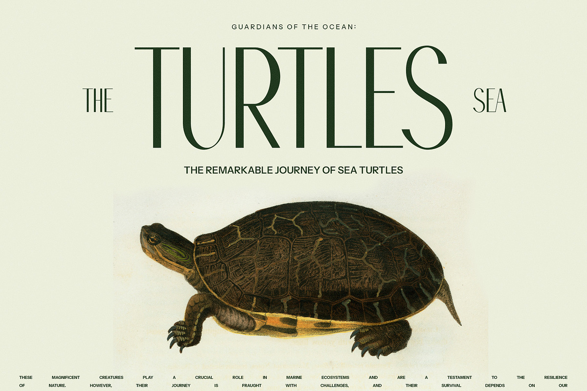 Molina Modern Sans Serif Font, a Serif Font by Graphicxell (Photo 2 of 8)