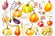 Pumpkins watercolor collection, a Food Illustration by Ann Astro (Thumbnail 6 of 17)