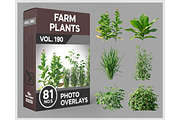 81 Farm Plants Photo Overlays, a Nature Photo by KenScape (Thumbnail 1 of 3)