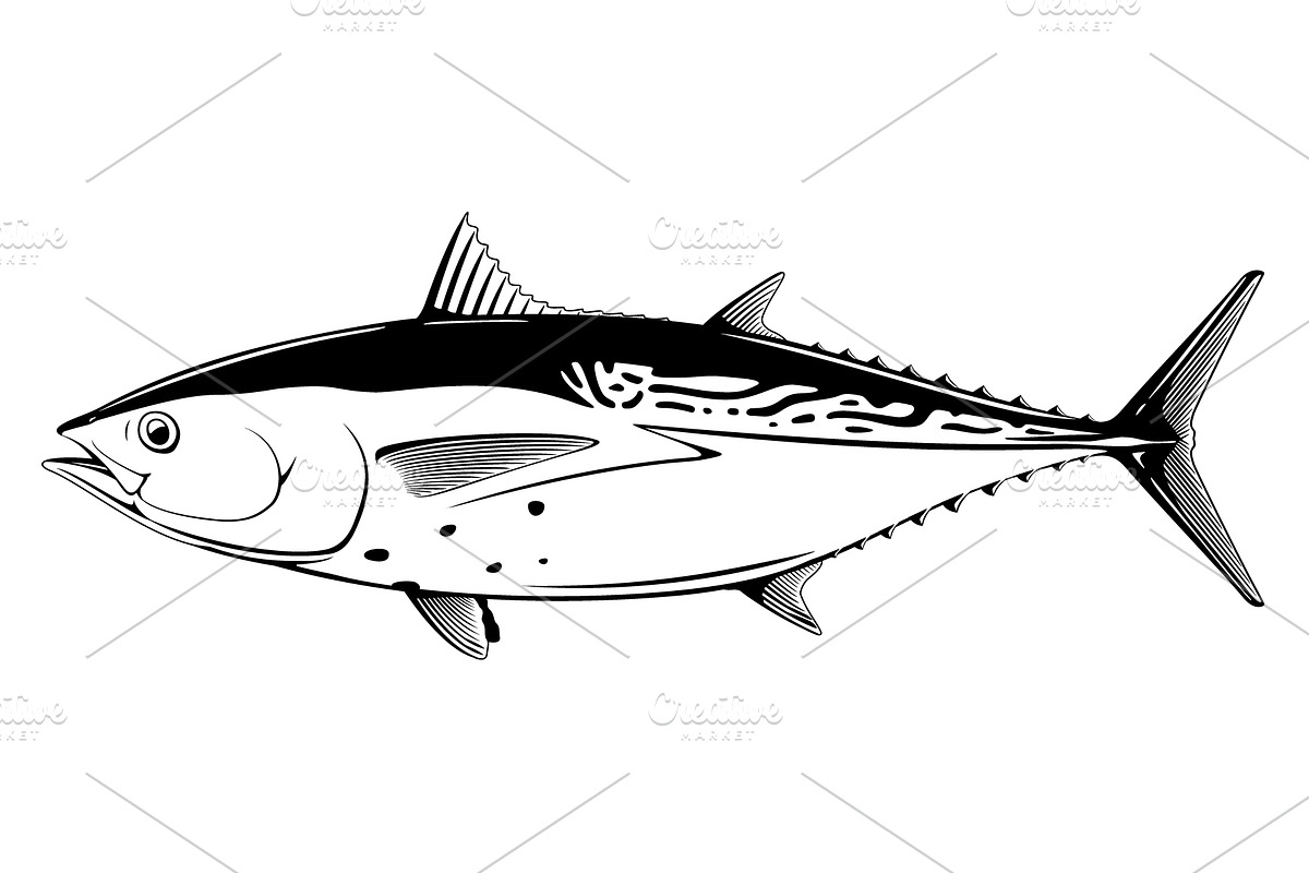 Little tunny fish, an Animal Illustration by Oceloti