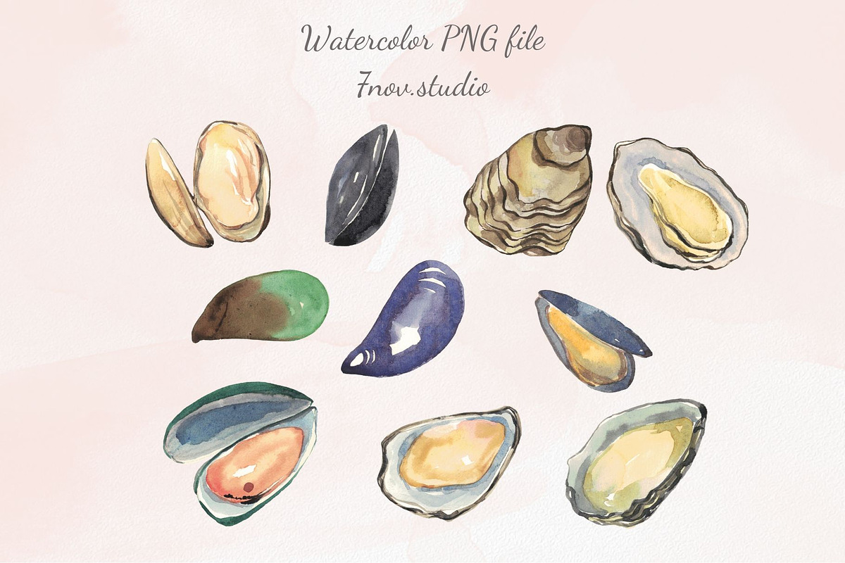 Sea Food watercolor, an Illustration by 7nov.studio (Photo 3 of 7)