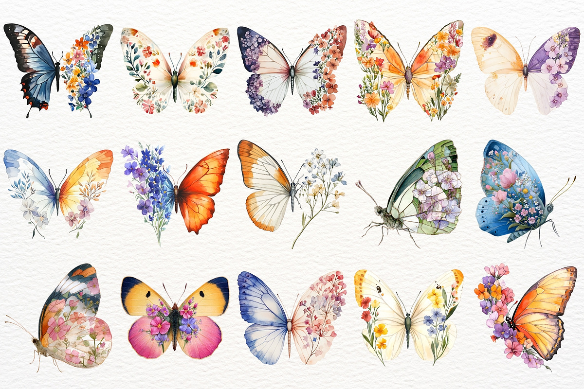 Floral Butterfly Clipart Summer PNG, an Animal Illustration by SugarCloudStudioArt (Photo 2 of 8)