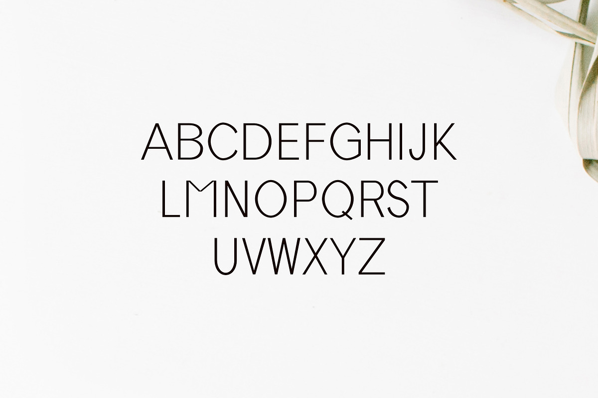 Tabner Sans Serif Font Family preview 2