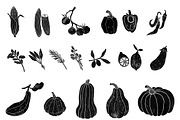 Autumn Bundle: Kitchen and Garden, a Food Illustration by Mii Lab (Thumbnail 11 of 28)