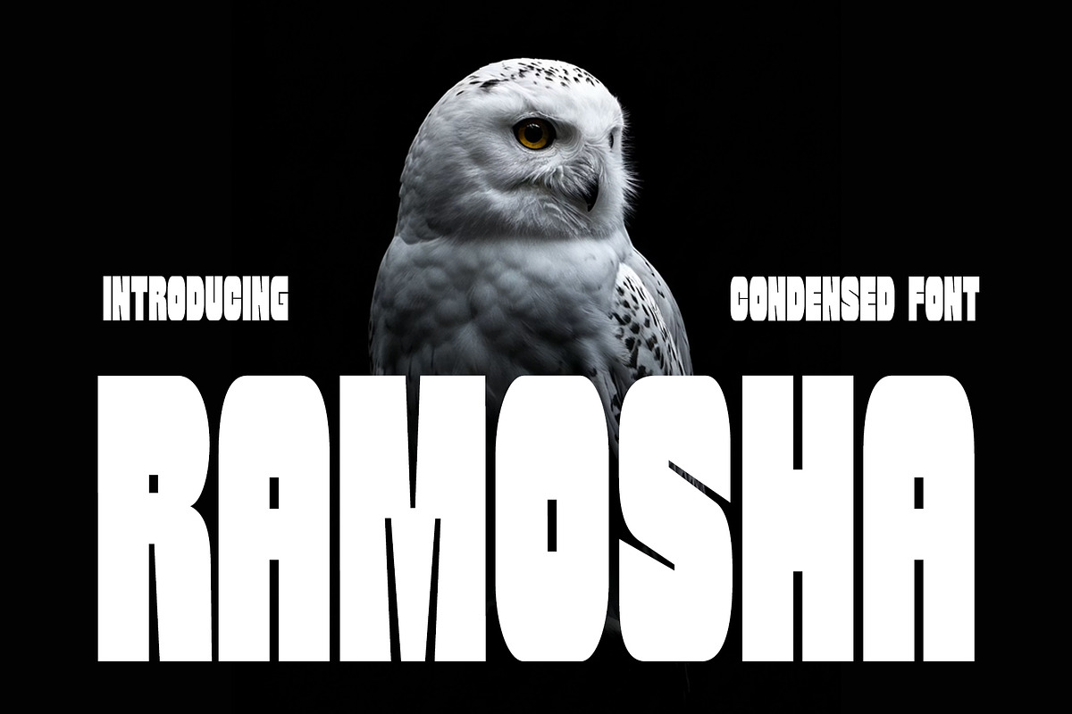Ramosha Bold Condensed Font, a Sans Serif Font by Heinzel Std (Photo 1 of 12)