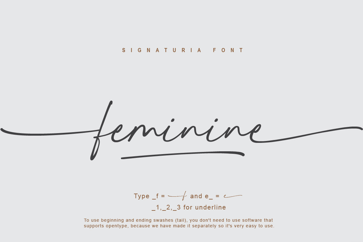 Signaturia - Handwritten Signature, a Script Font by Typebae (Photo 2 of 10)