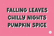AUTUMN DISPLAY Bold Font, a Font by Blush Font Co. (Thumbnail 2 of 6)
