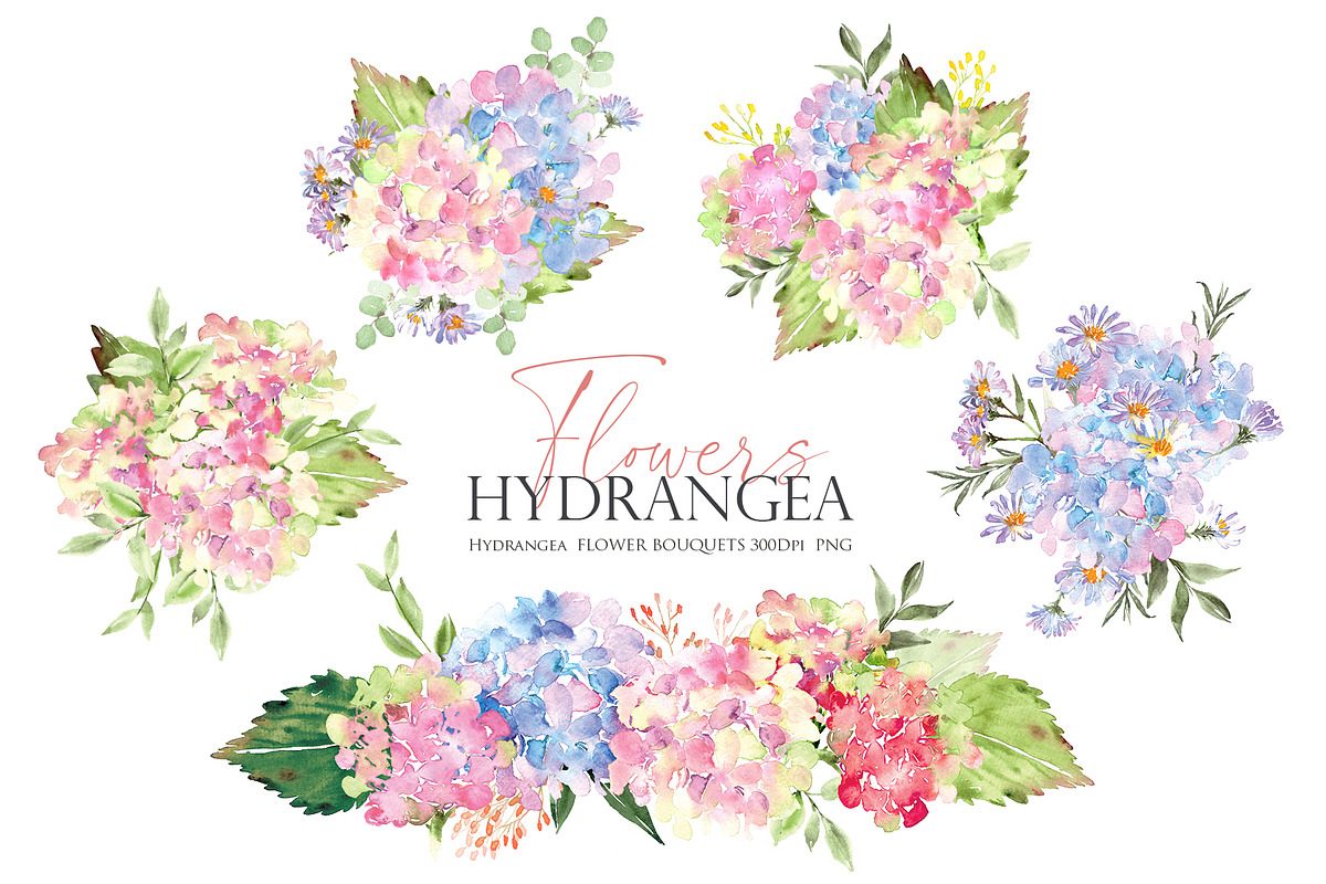 Watercolor flower - Hydrangea, an Illustration by Beigetime (Photo 3 of 9)