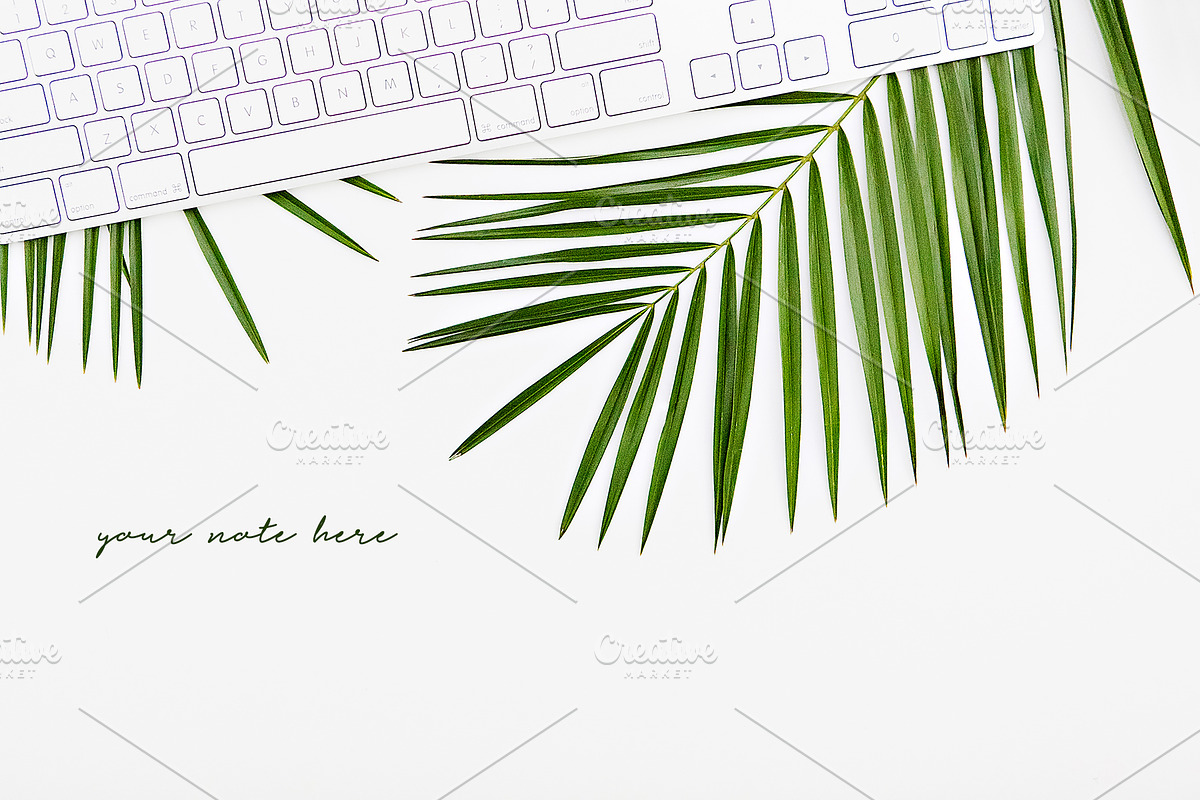 CONTEMPORARY COASTAL LAYFLATS, a Mockup by Mesmerizing Designs (Photo 4 of 6)