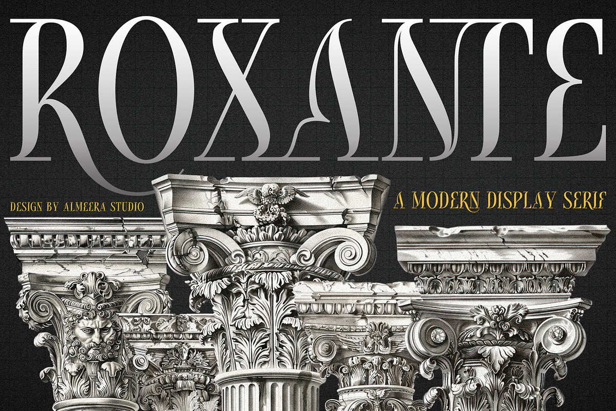 Roxante - Modern Serif Font, a Serif Font by Almeera Std (Photo 1 of 6)