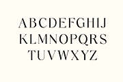 Marble Dreams Luxury Serif Font, a Serif Font by UICreative (Thumbnail 4 of 13)