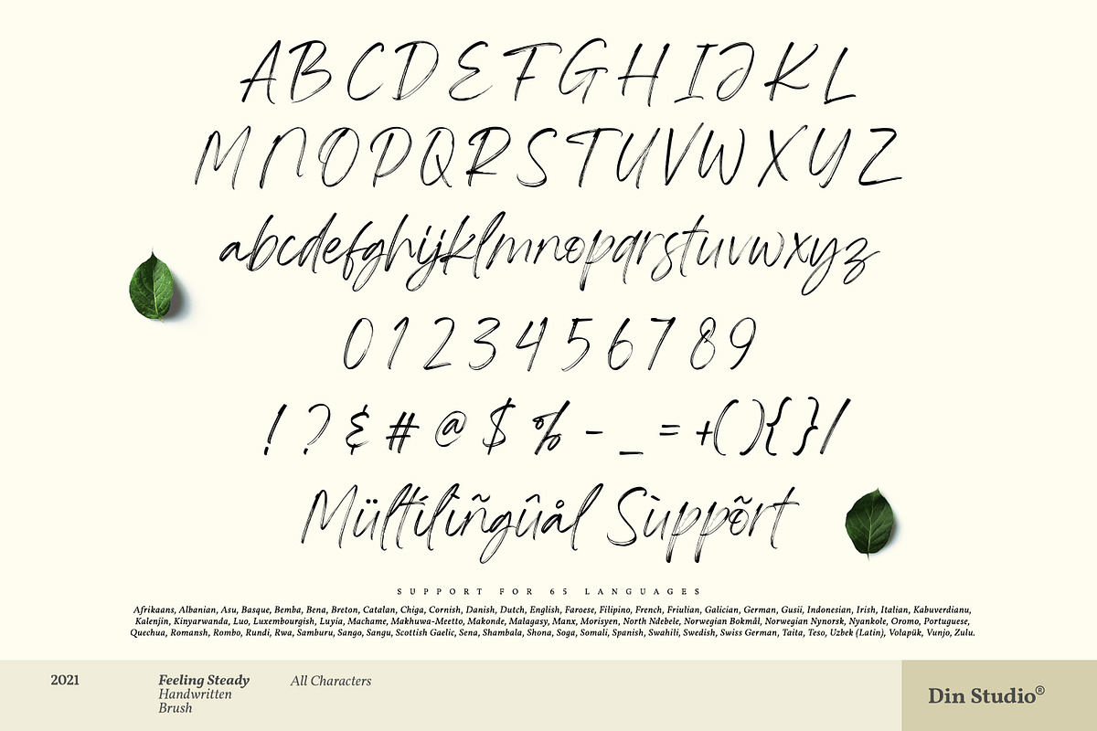Feeling Steady, a Script Font by din-studio.com (Photo 6 of 10)