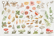 Cute autumn raccoons, an Illustration by Love Watercolor Store (Thumbnail 8 of 11)