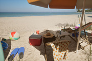 A Picnic at the Beach, an Object 3D Model by FuturePastCreatives (Thumbnail 4 of 8)