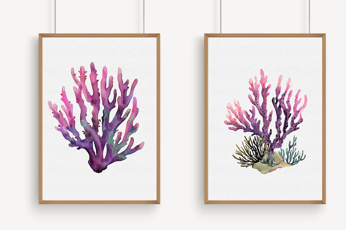 Watercolor Coral Clipart, an Illustration by Libby Wishes (Photo 3 of 5)