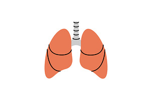 Lungs. Human internal organ. Vector, a Healthcare Illustration by GraphiShop