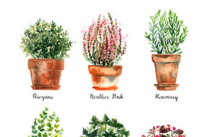 Watercolor Herbs And Flowers In Pots