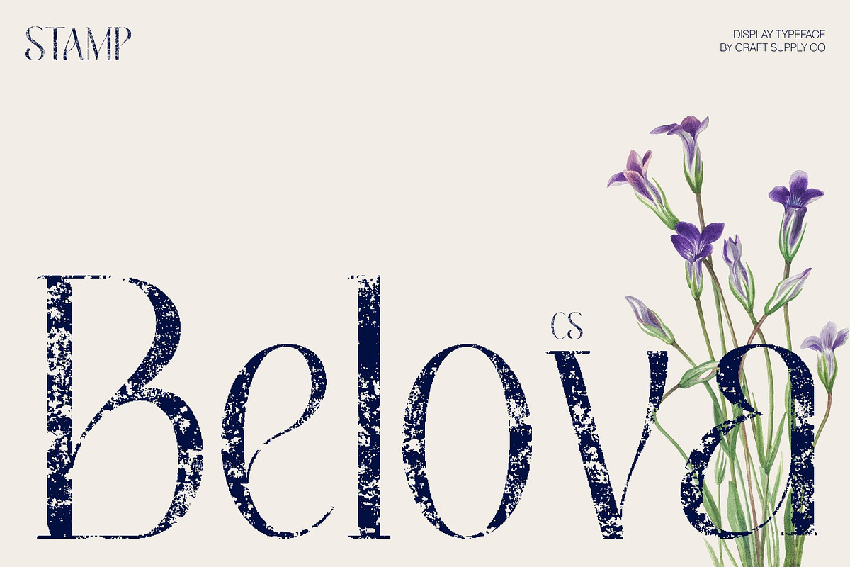 CS Belova Stamp, a Serif Font by Craft Supply Co. (Photo 1 of 8)