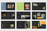 Ugira : Wildlife Care Google Slides, a Presentation Template by Punkl Camp (Thumbnail 6 of 9)