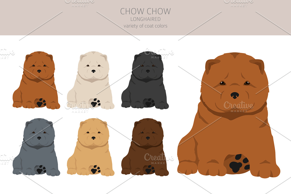 Chow chow (longhaired) clipart, an Animal Illustration by pet design shop (Photo 5 of 9)