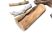 13 Tree Logs, an Environmental 3D Model by Beatheart Creative Studio (Thumbnail 31 of 37)