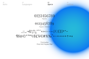 Proto Serif Font Family, a Serif Font by Bukva™ Type Foundry (Thumbnail 10 of 16)